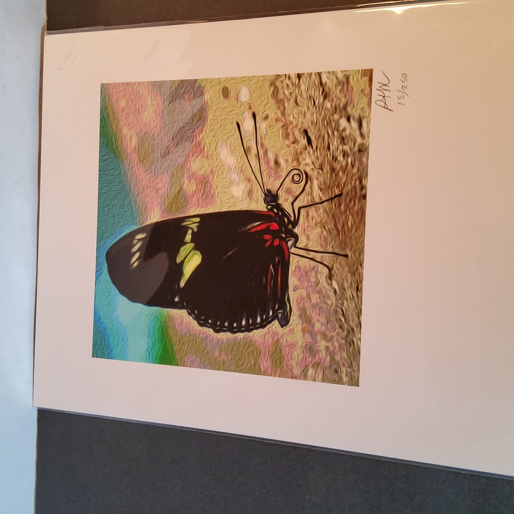 Butterfly print 15/250 Peter James Maurer - Picture 8 of 8